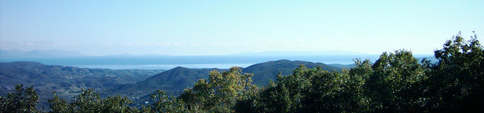 Blick von der Terasse